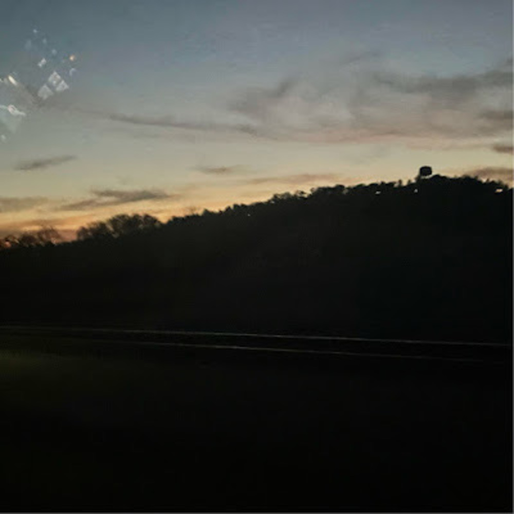 Meet your Posher, Maddie